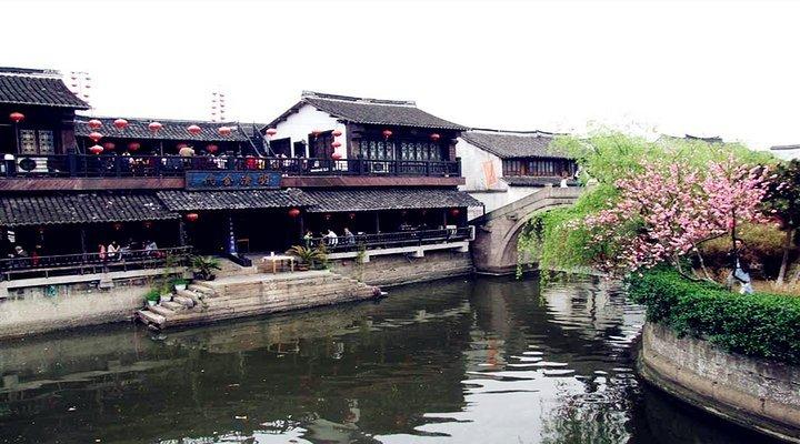 救援鹦鹉
